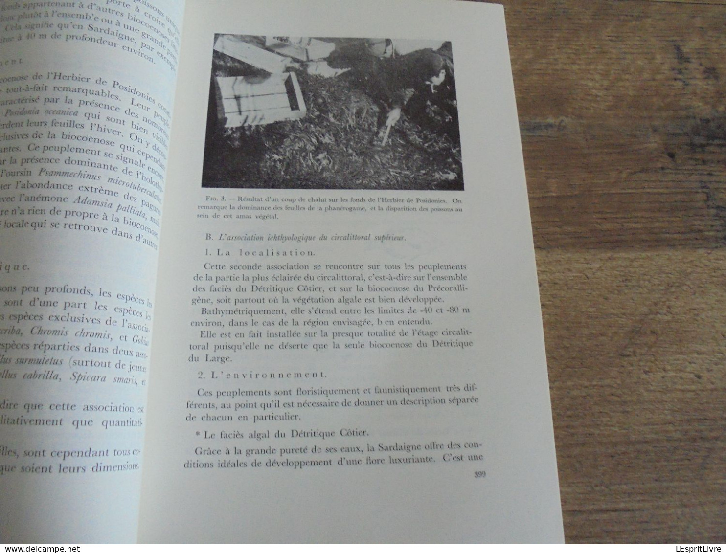 LES NATURALISTES BELGES N° 8 Année 1971 Régionalisme Pêche Sadaigne Beauchamp Champignons Végétation Botanique Flore - Belgium