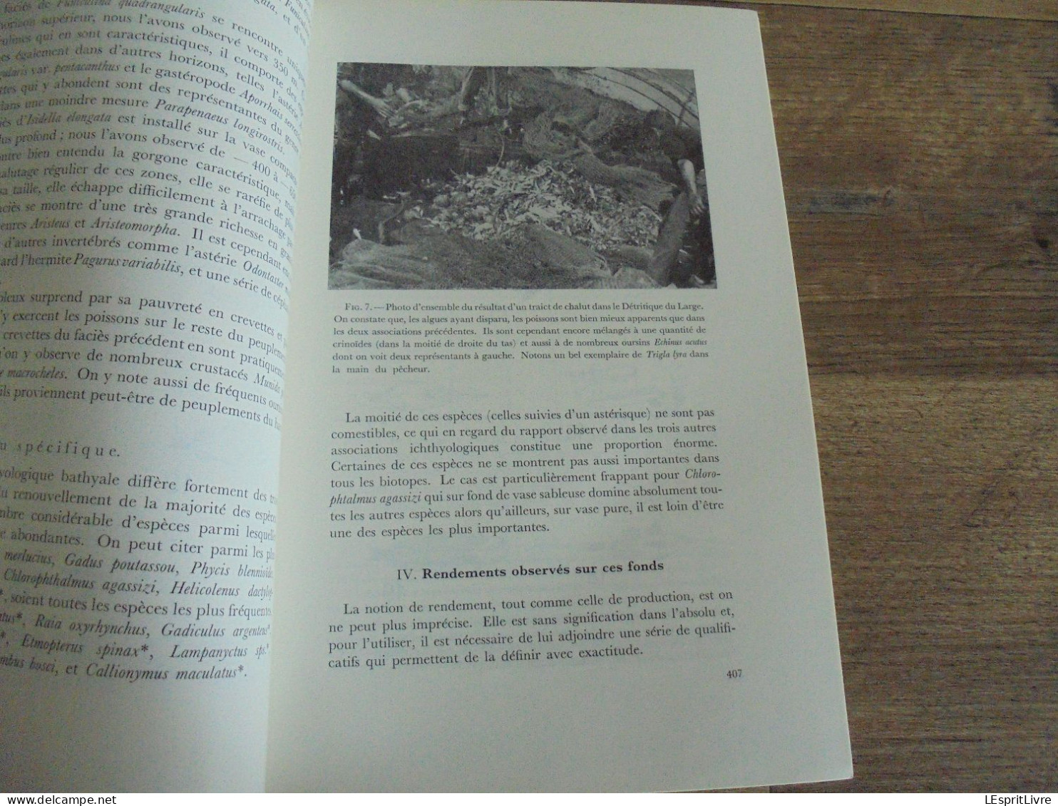 LES NATURALISTES BELGES N° 8 Année 1971 Régionalisme Pêche Sadaigne Beauchamp Champignons Végétation Botanique Flore