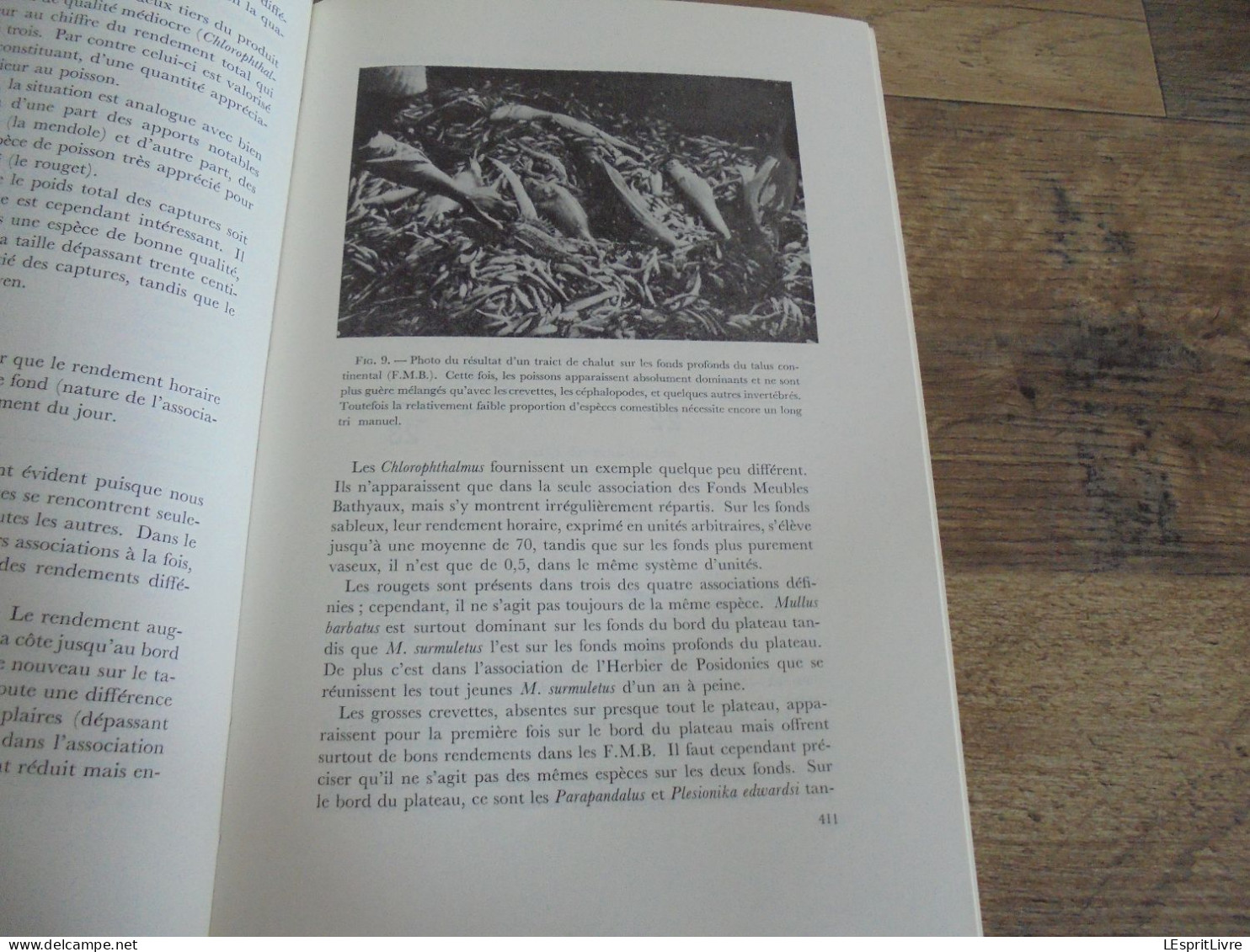 LES NATURALISTES BELGES N° 8 Année 1971 Régionalisme Pêche Sadaigne Beauchamp Champignons Végétation Botanique Flore