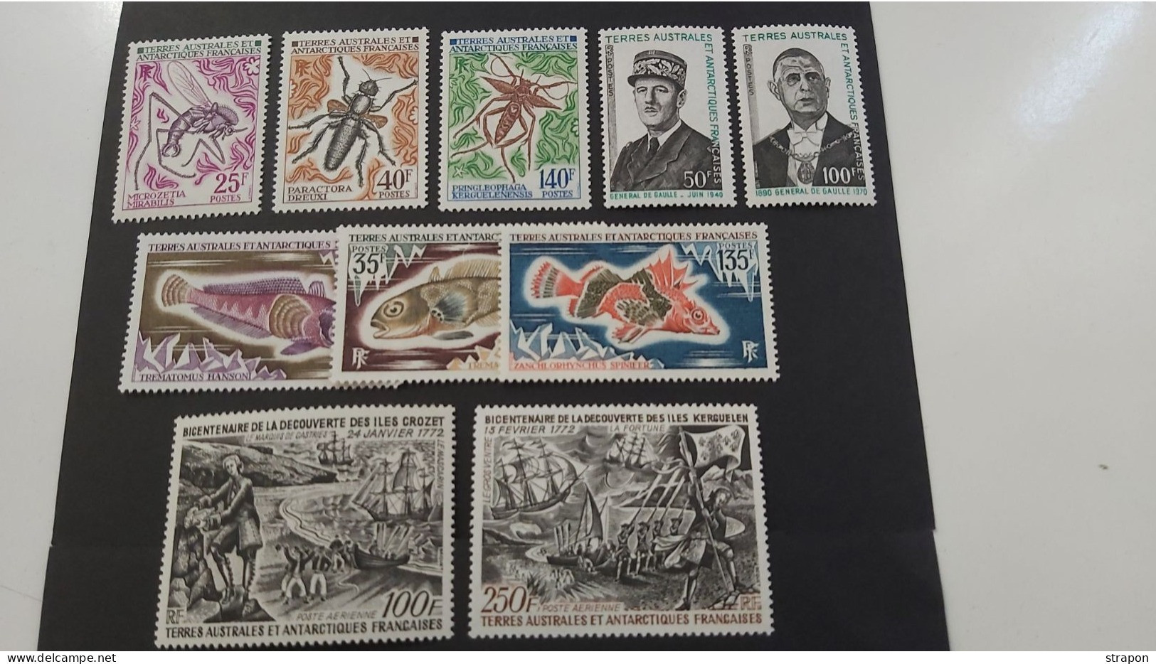 TAAF ** 14% CÔTE ANNÉE 1972 COMPLÈTE POSTES+PA  NEUFS SANS CHARNIÈRE PRIX CHOC !!!++++++ - Unused Stamps