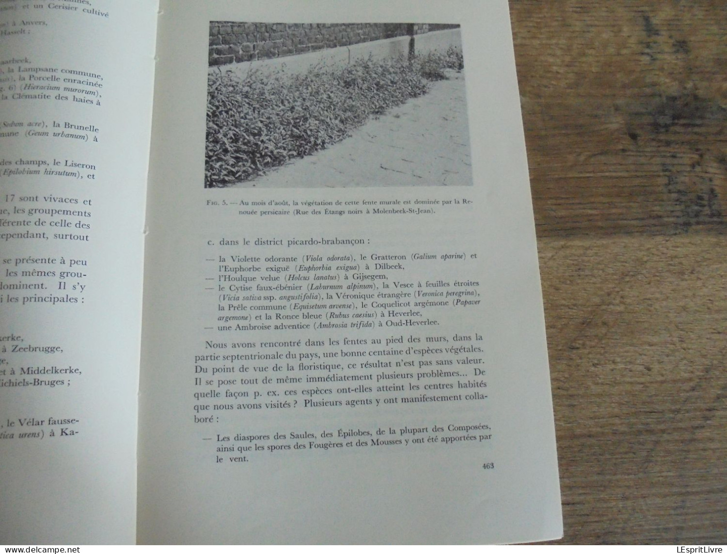 LES NATURALISTES BELGES N° 9 Année 1971 Régionalisme Végétation Des Murs Papillons Lépidoptères Botanique Flore - Belgien