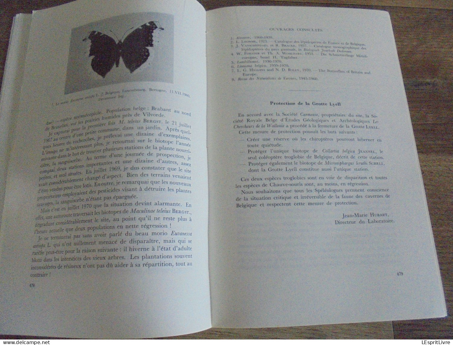 LES NATURALISTES BELGES N° 9 Année 1971 Régionalisme Végétation des Murs Papillons Lépidoptères Botanique Flore