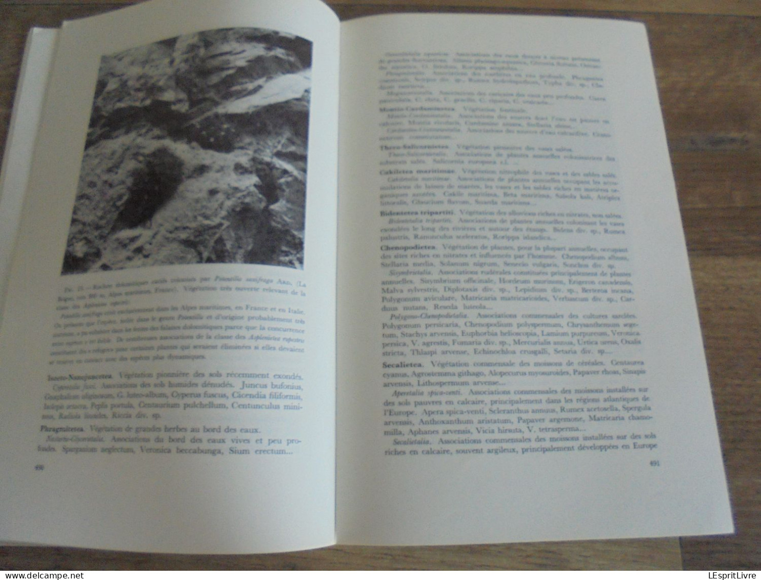 LES NATURALISTES BELGES N° 9 Année 1971 Régionalisme Végétation des Murs Papillons Lépidoptères Botanique Flore