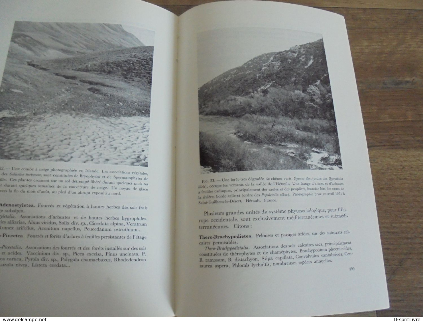 LES NATURALISTES BELGES N° 9 Année 1971 Régionalisme Végétation des Murs Papillons Lépidoptères Botanique Flore