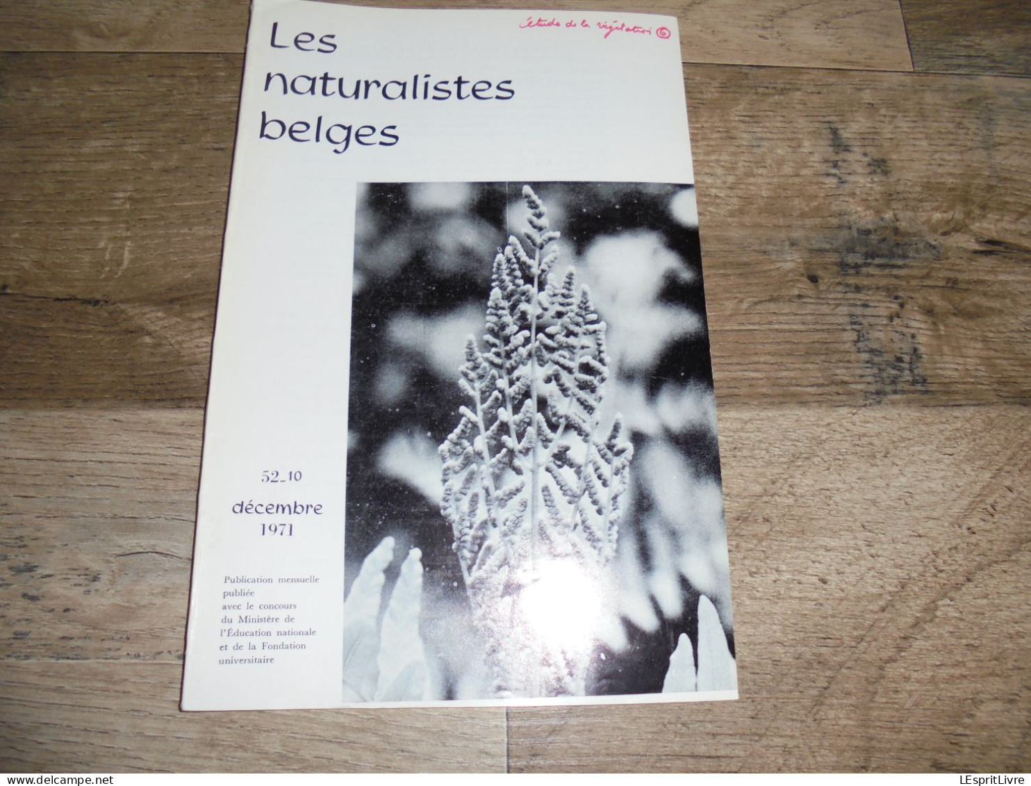 LES NATURALISTES BELGES N° 10 Année 1971 Régionalisme Anatomie Du Bois Baléares Arbres Végétation Botanique Flore - Belgium