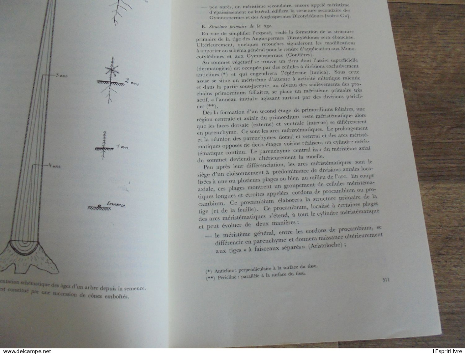 LES NATURALISTES BELGES N° 10 Année 1971 Régionalisme Anatomie Du Bois Baléares Arbres Végétation Botanique Flore - Belgique