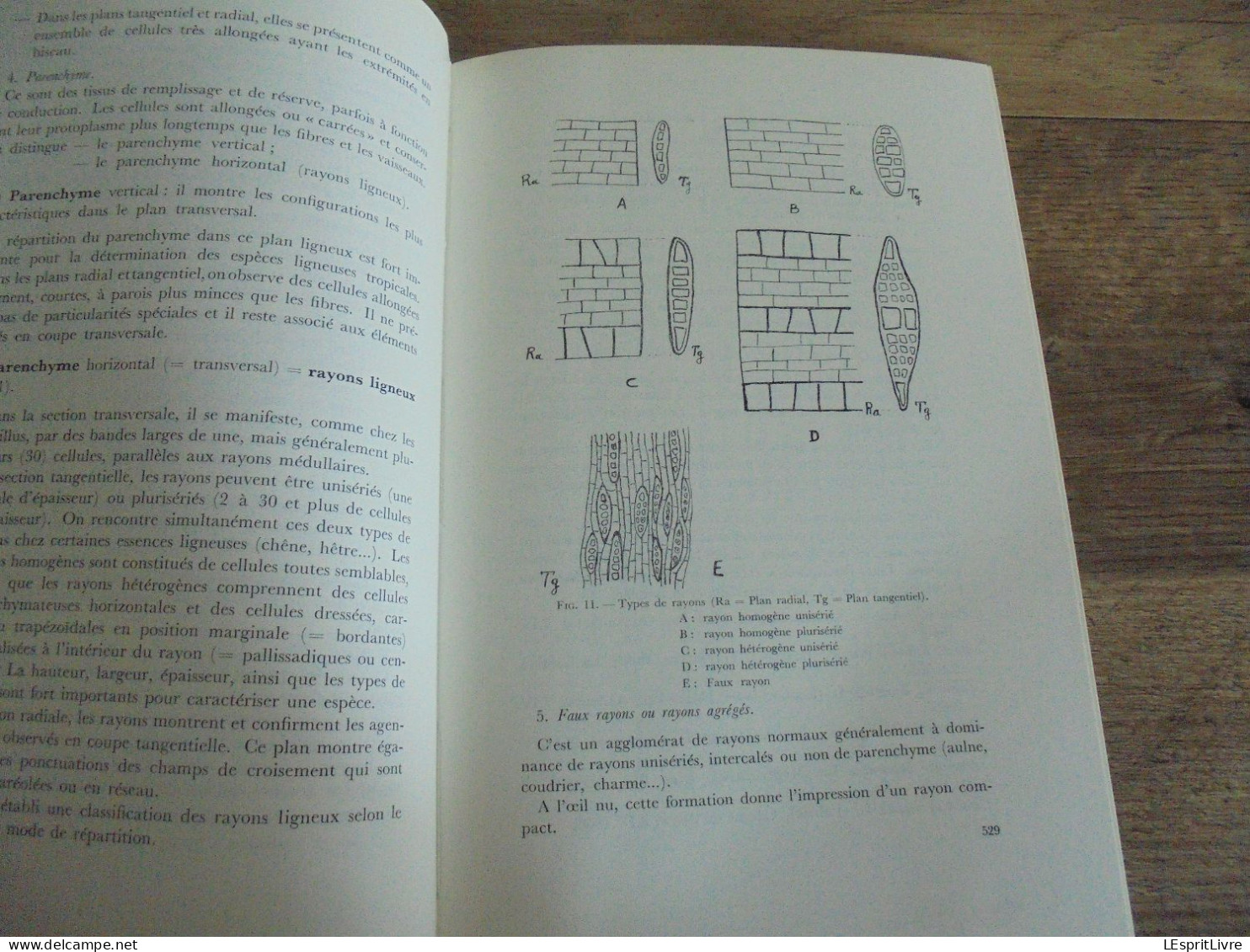 LES NATURALISTES BELGES N° 10 Année 1971 Régionalisme Anatomie du Bois Baléares Arbres Végétation Botanique Flore