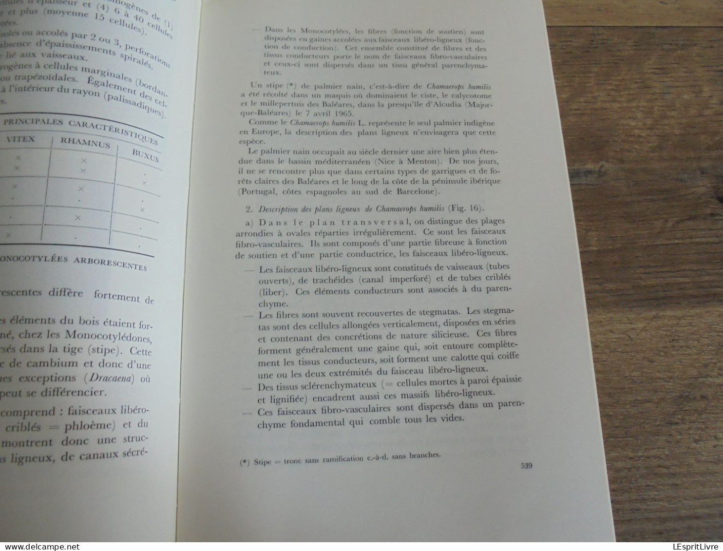 LES NATURALISTES BELGES N° 10 Année 1971 Régionalisme Anatomie du Bois Baléares Arbres Végétation Botanique Flore