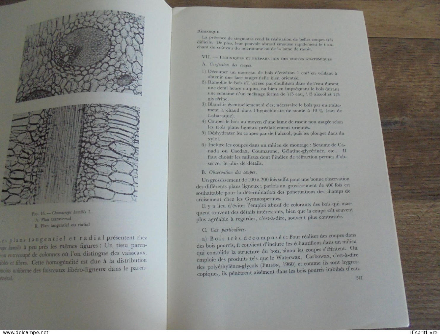 LES NATURALISTES BELGES N° 10 Année 1971 Régionalisme Anatomie du Bois Baléares Arbres Végétation Botanique Flore