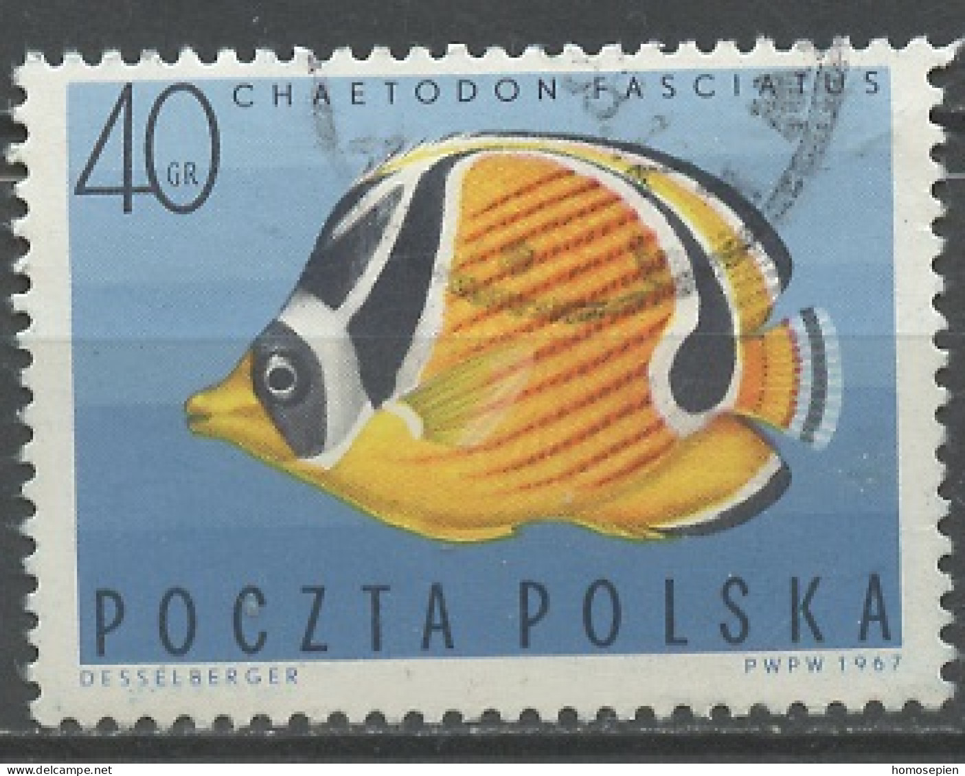 Pologne - Poland - Polen 1967 Y&T N°1600 - Michel N°1750 (o) - 40g Chaetodon Fasciatus - Oblitérés