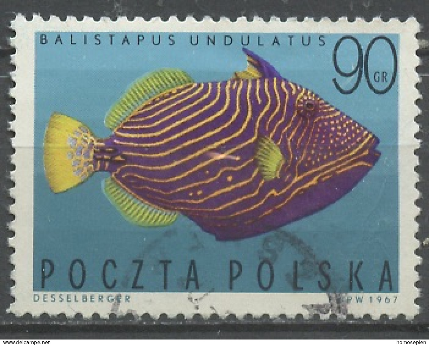 Pologne - Poland - Polen 1967 Y&T N°1602 - Michel N°1772 (o) - 90g Balistapus Undulatus - Used Stamps