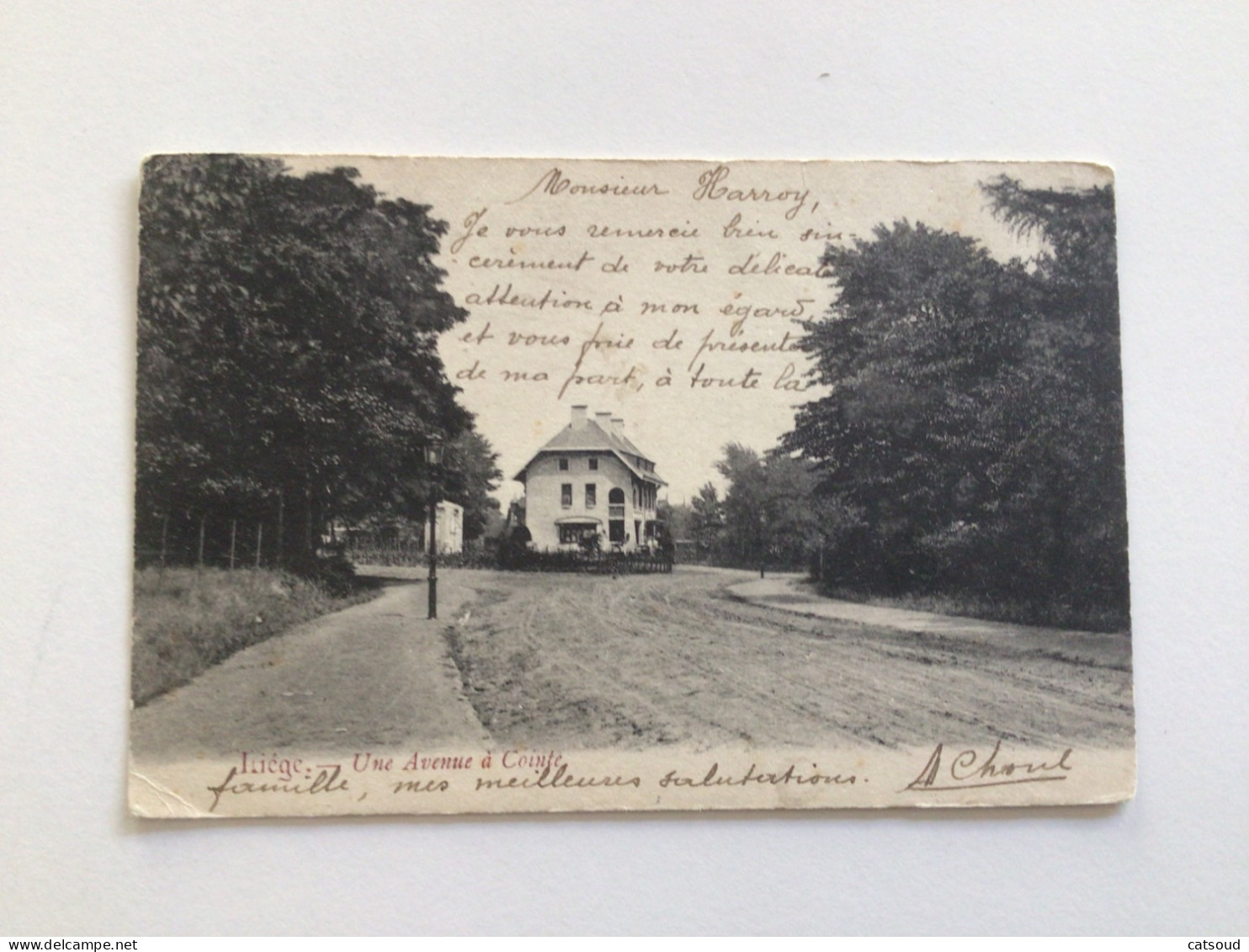 Carte Postale Ancienne (1909) Liège Une Avenue à Cointe - Liege