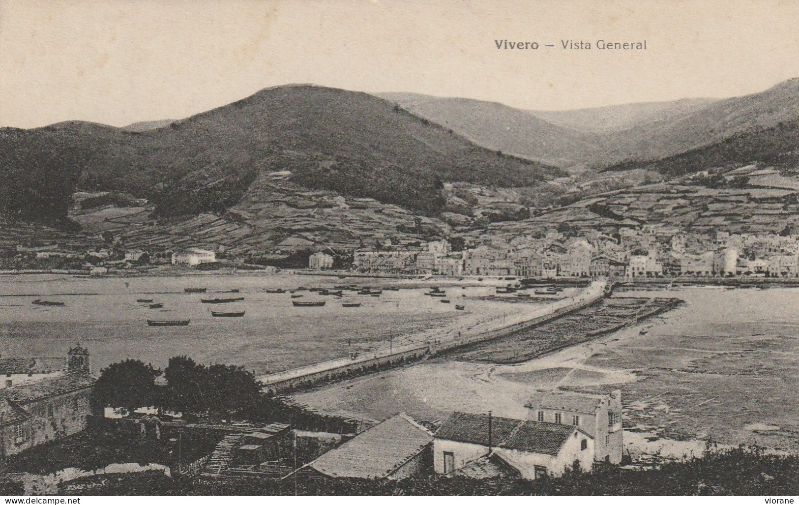 Vivero - Vista General - Other & Unclassified