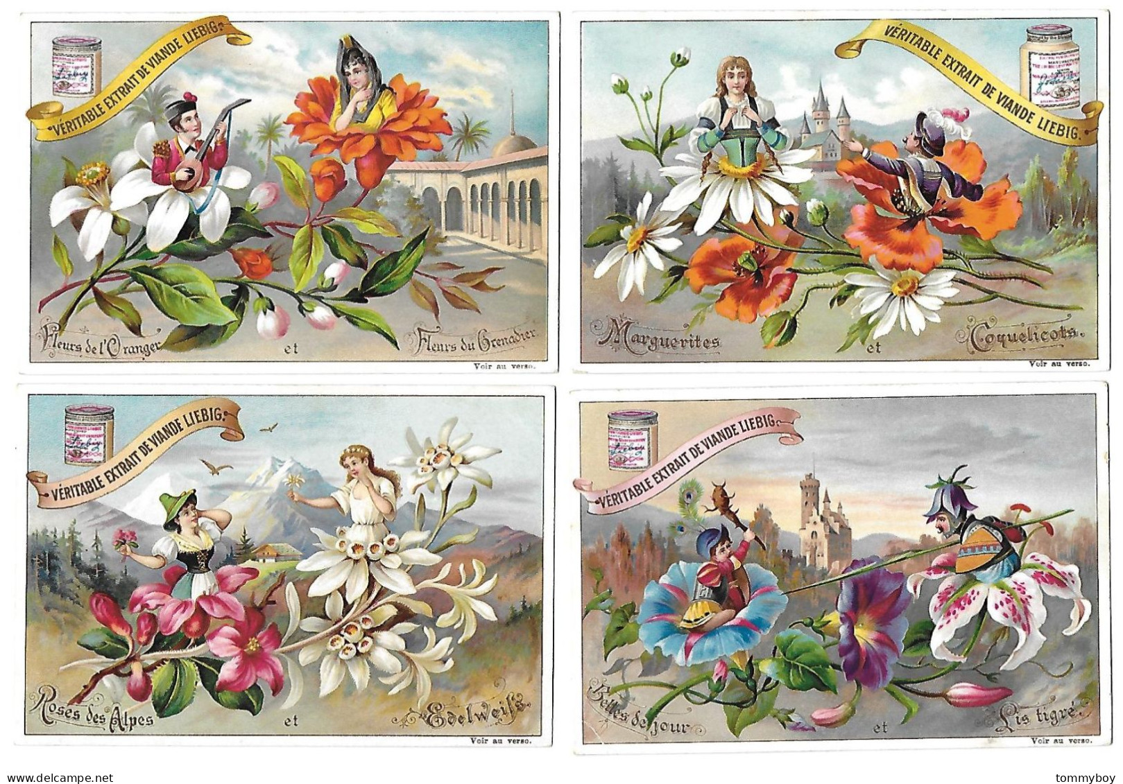 S 520, Liebig 6 Cards, Fleurs Avec Amourettes (stickers On The Backsides) (ref B10) - Liebig