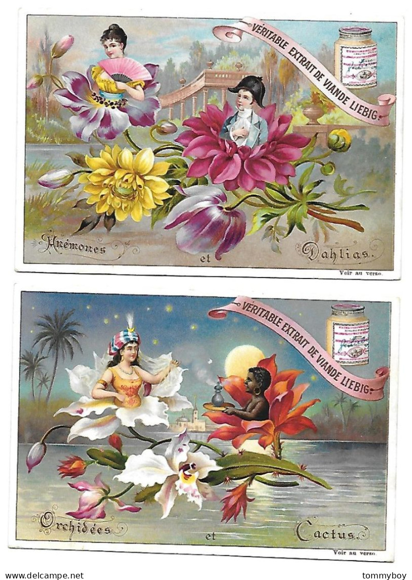 S 520, Liebig 6 Cards, Fleurs Avec Amourettes (stickers On The Backsides) (ref B10) - Liebig