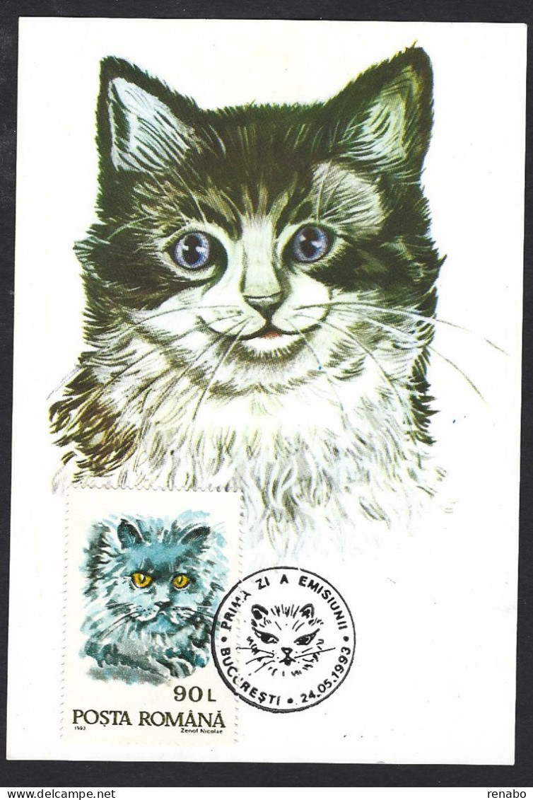 Romania, Roumanie 1993; Blue Turkish Angora Cat, Gatto, Katze, Chat; Maximum Card - Domestic Cats