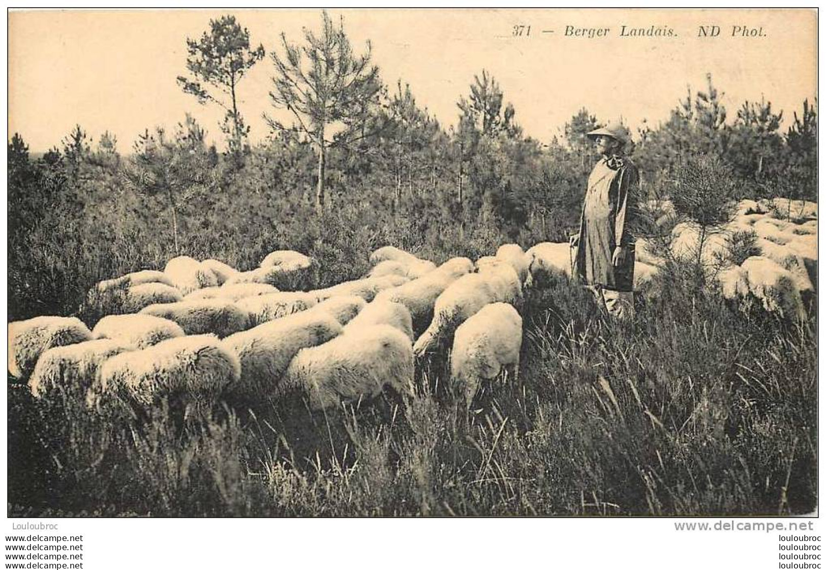 40 BERGER LANDAIS EDIT ND - Sonstige & Ohne Zuordnung