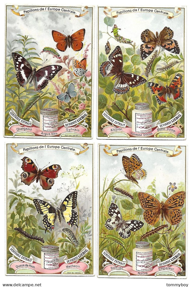 S 518, Liebig 6 Cards, Papillons De L'Europe Centrale (ref B10) - Liebig