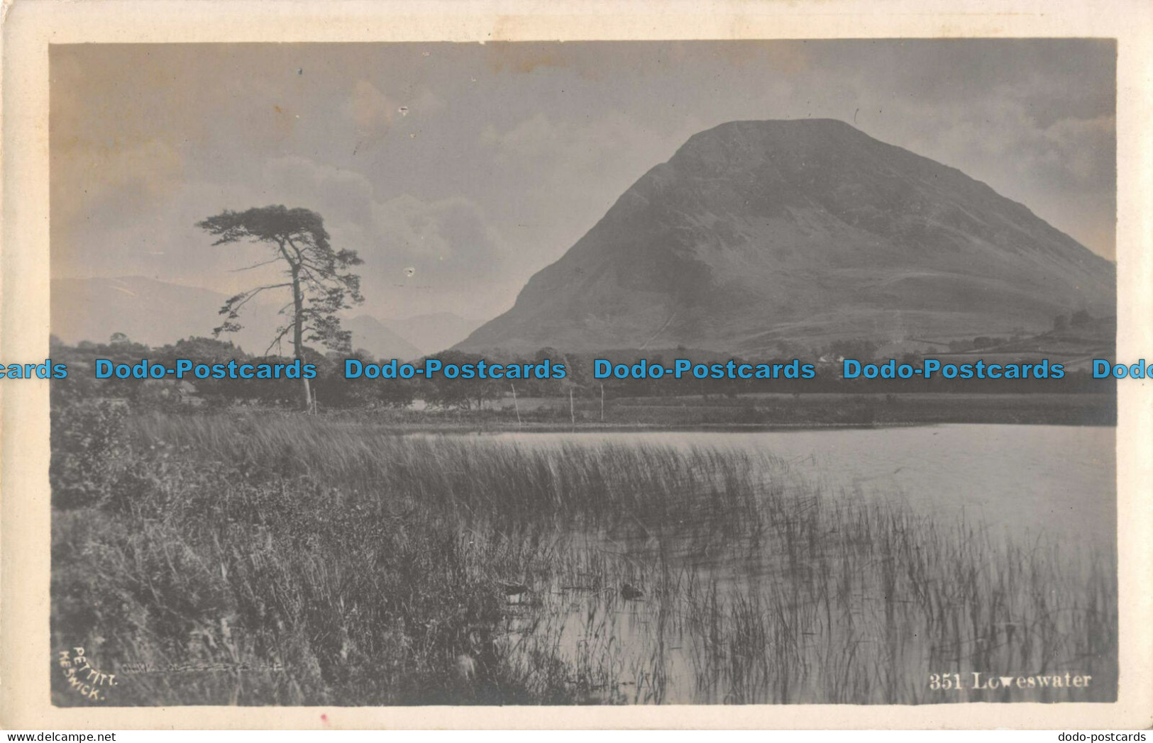 R098220 Loweswater. Pettitt - World