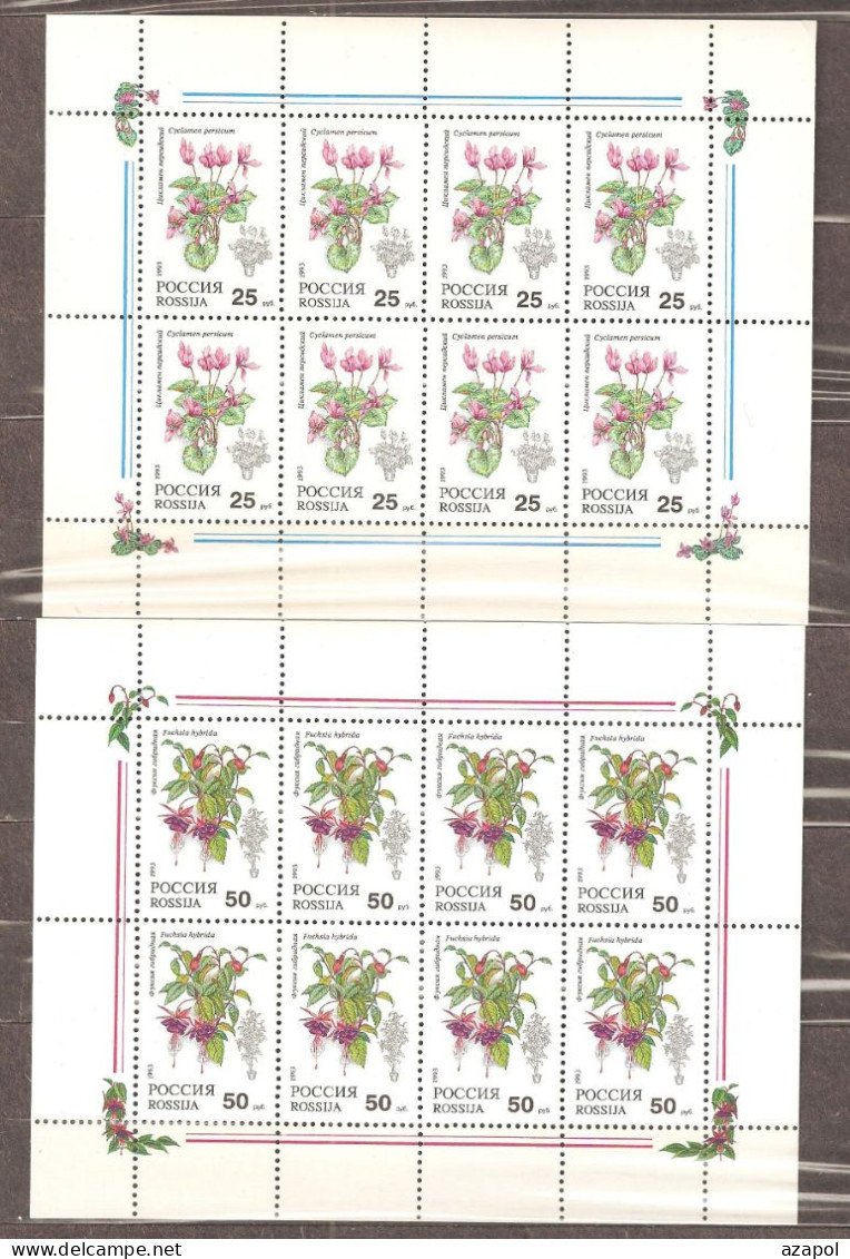 Russia: 2 Mint Sheets, Pot Plants, 1993, Mi#297, 300, MNH - Sonstige & Ohne Zuordnung