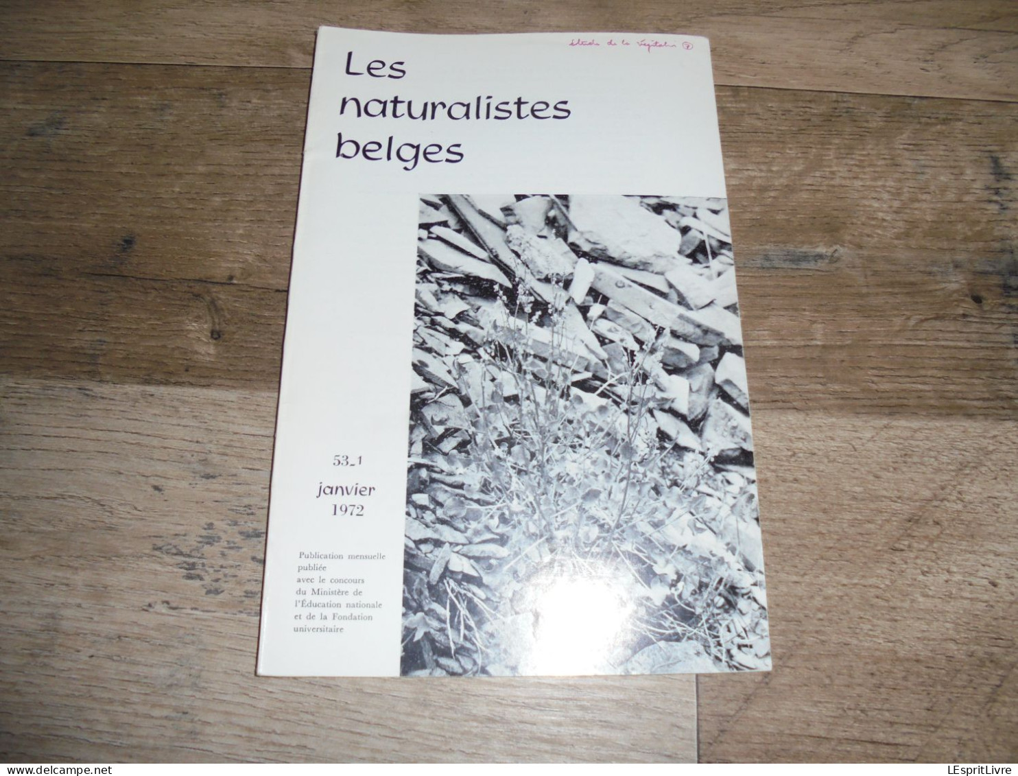 LES NATURALISTES BELGES N° 1 Année 1972 Régionalisme Etangs Entre Sambre Et Meuse Rance Villers La Tour Botanique Flore - Belgique