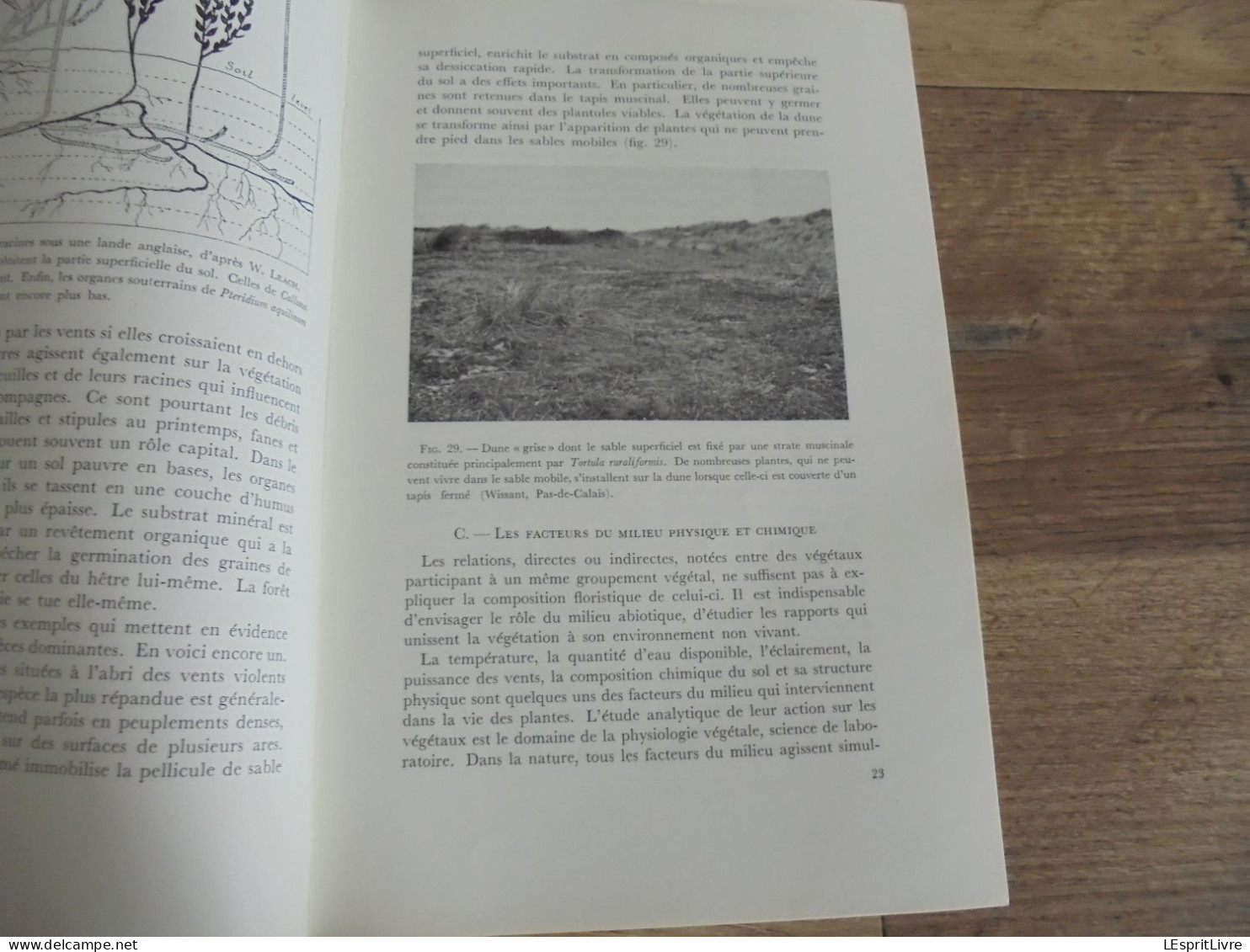 LES NATURALISTES BELGES N° 1 Année 1972 Régionalisme Etangs Entre Sambre et Meuse Rance Villers La Tour Botanique Flore