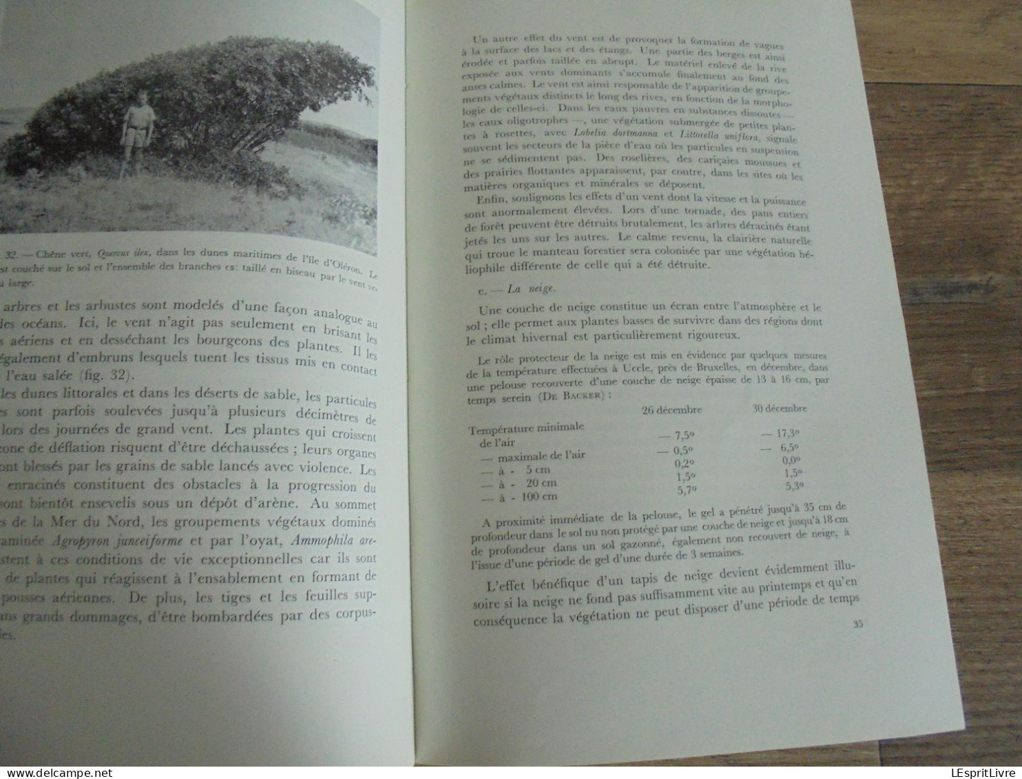 LES NATURALISTES BELGES N° 1 Année 1972 Régionalisme Etangs Entre Sambre et Meuse Rance Villers La Tour Botanique Flore