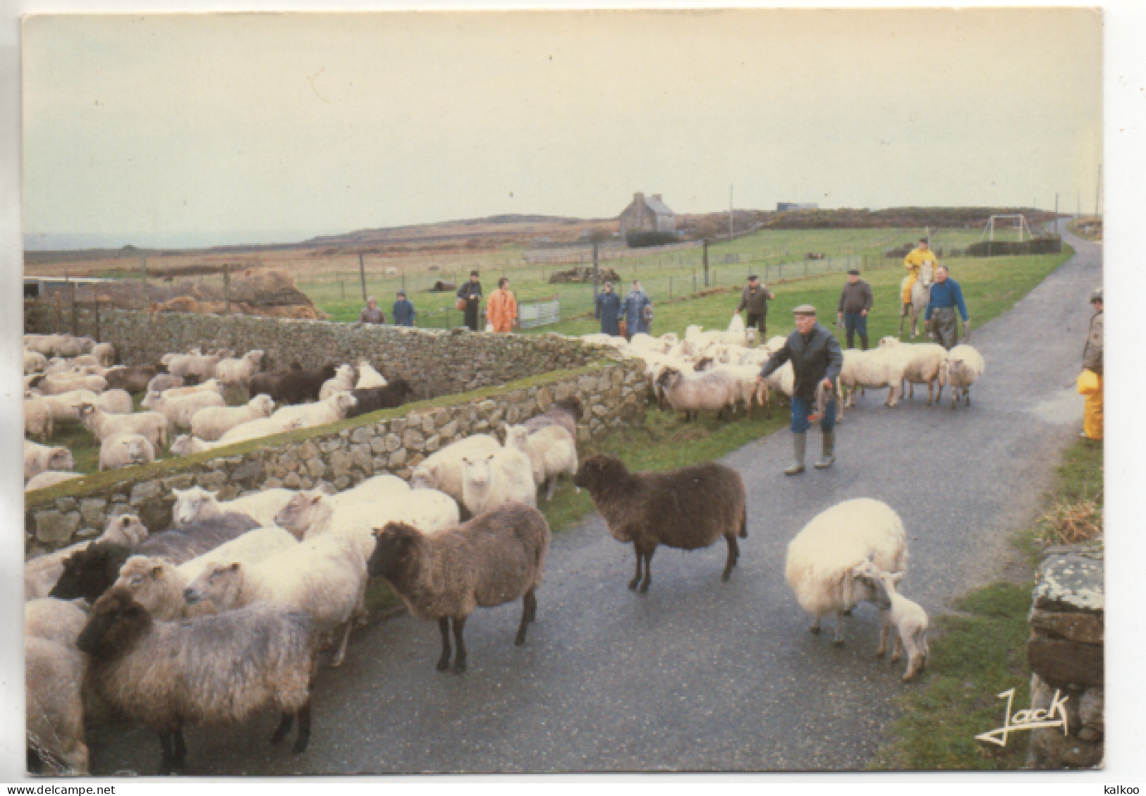 CPM ( Ile D'Ouessant - La Foire Aux Moutons ) - Ouessant