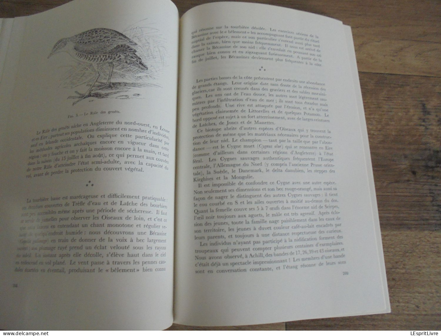 LES NATURALISTES BELGES N° 4 Année 1972 Régionalisme Irlande Tourbières Faune Oiseaux  Botanique Flore