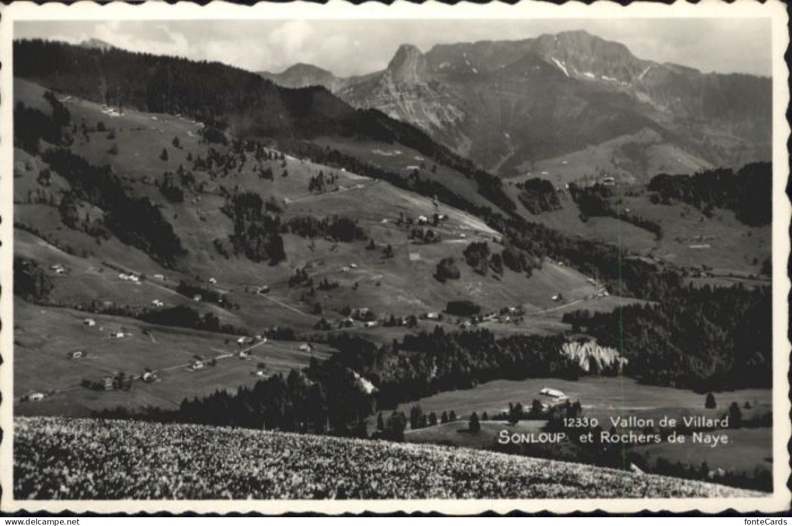 10847268 Vallon Vallon Sonloup Rochers De Naye X Vallon - Sonstige & Ohne Zuordnung