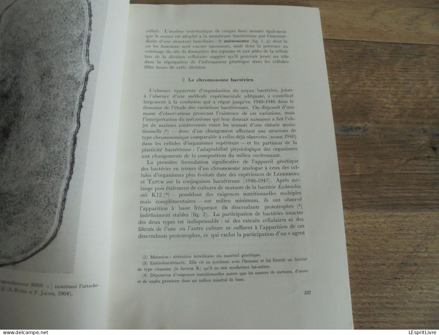 LES NATURALISTES BELGES N° 5 Année 1972 Régionalisme Bassin De La Dyle Wavre Louvain Papillon Botanique Flore - Belgium