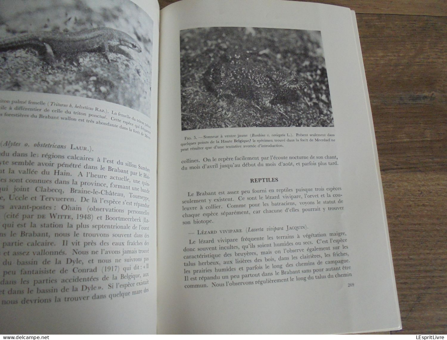 LES NATURALISTES BELGES N° 5 Année 1972 Régionalisme Bassin de la Dyle Wavre Louvain Papillon Botanique Flore