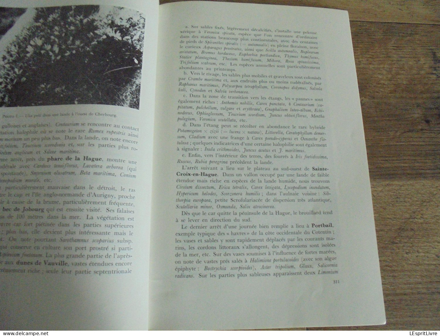 LES NATURALISTES BELGES N° 6 Année 1972 Régionalisme Pesticides Oiseaux de Proie Cotentin Végétation Botanique Flore