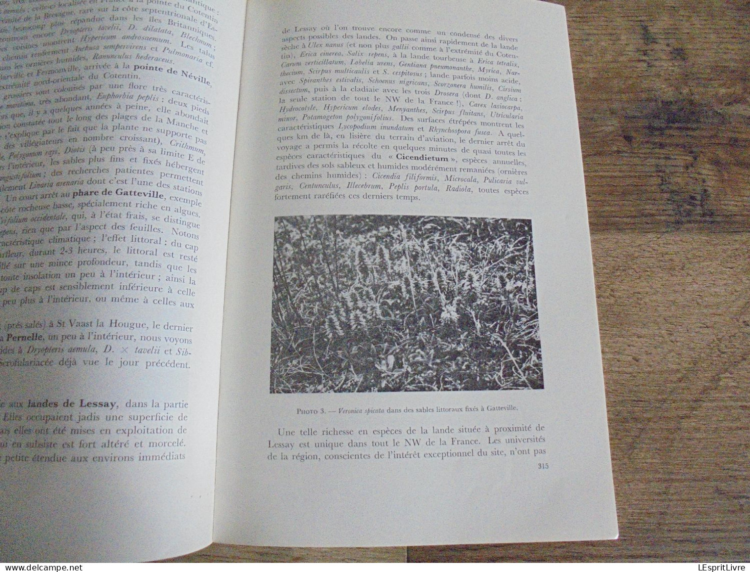 LES NATURALISTES BELGES N° 6 Année 1972 Régionalisme Pesticides Oiseaux de Proie Cotentin Végétation Botanique Flore