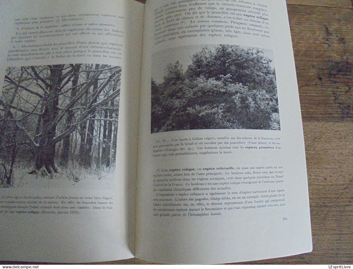 LES NATURALISTES BELGES N° 6 Année 1972 Régionalisme Pesticides Oiseaux de Proie Cotentin Végétation Botanique Flore