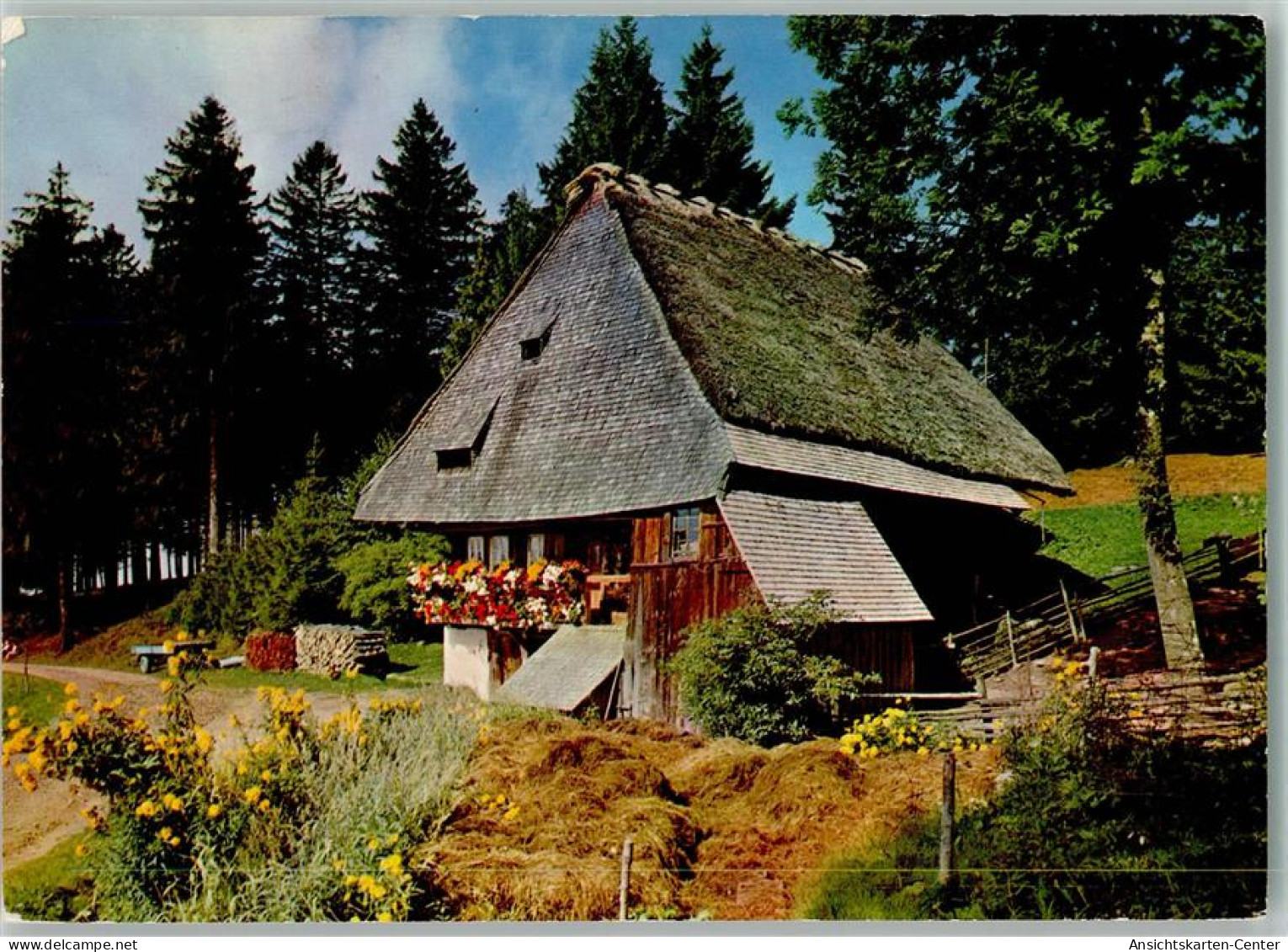 12073511 - Schwarzwald Haeuser Bauernhaus 1975 AK - Hochschwarzwald