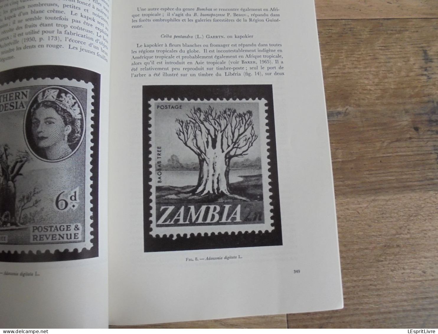 LES NATURALISTES BELGES N° 7 Année 1972 Régionalisme Grotte Ramioul Bombacacées et Philathélie Timbres Végétation Flore