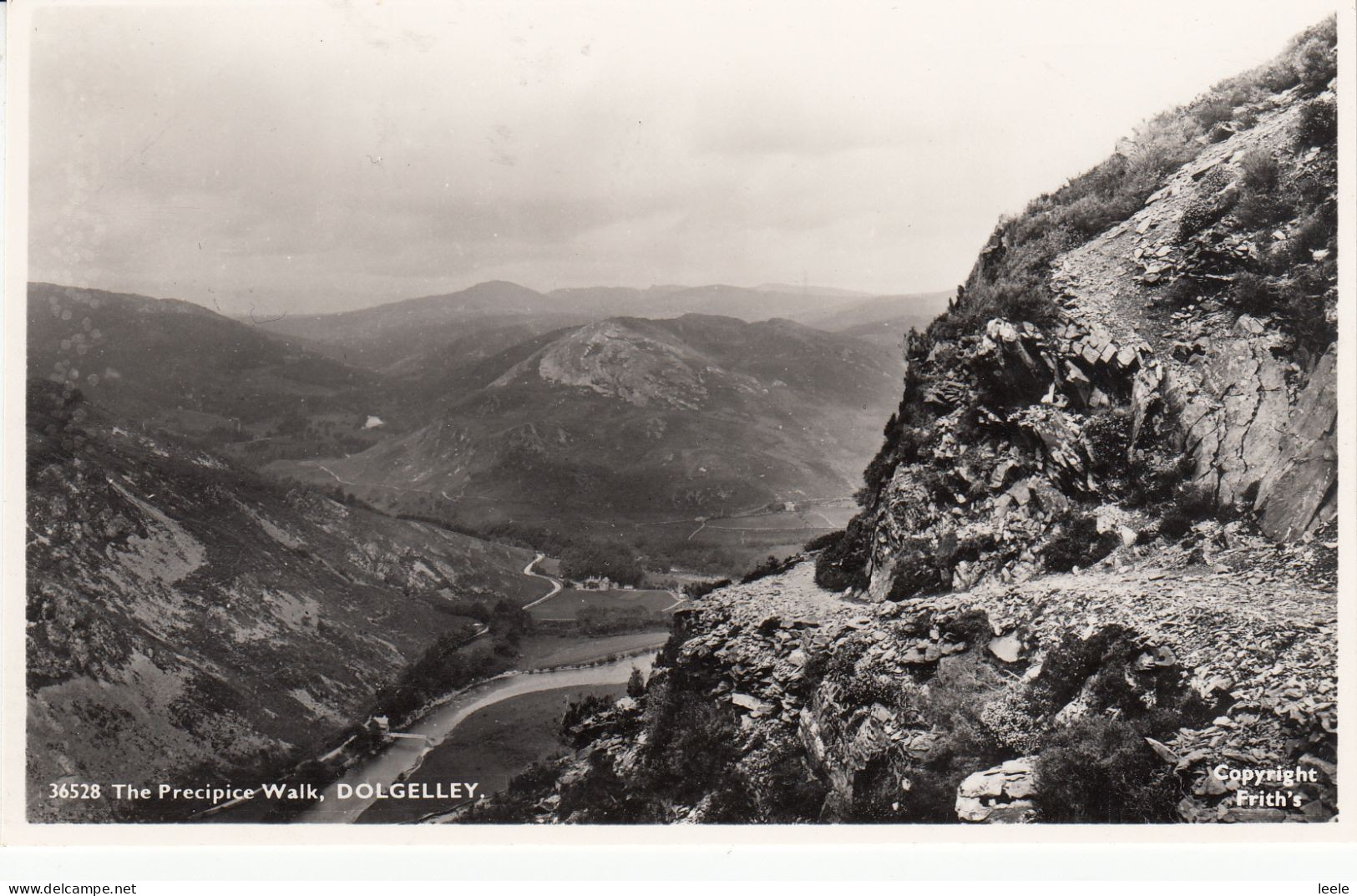 H24. Vintage Postcard. The Precipice Walk. Dolgelley. - Merionethshire