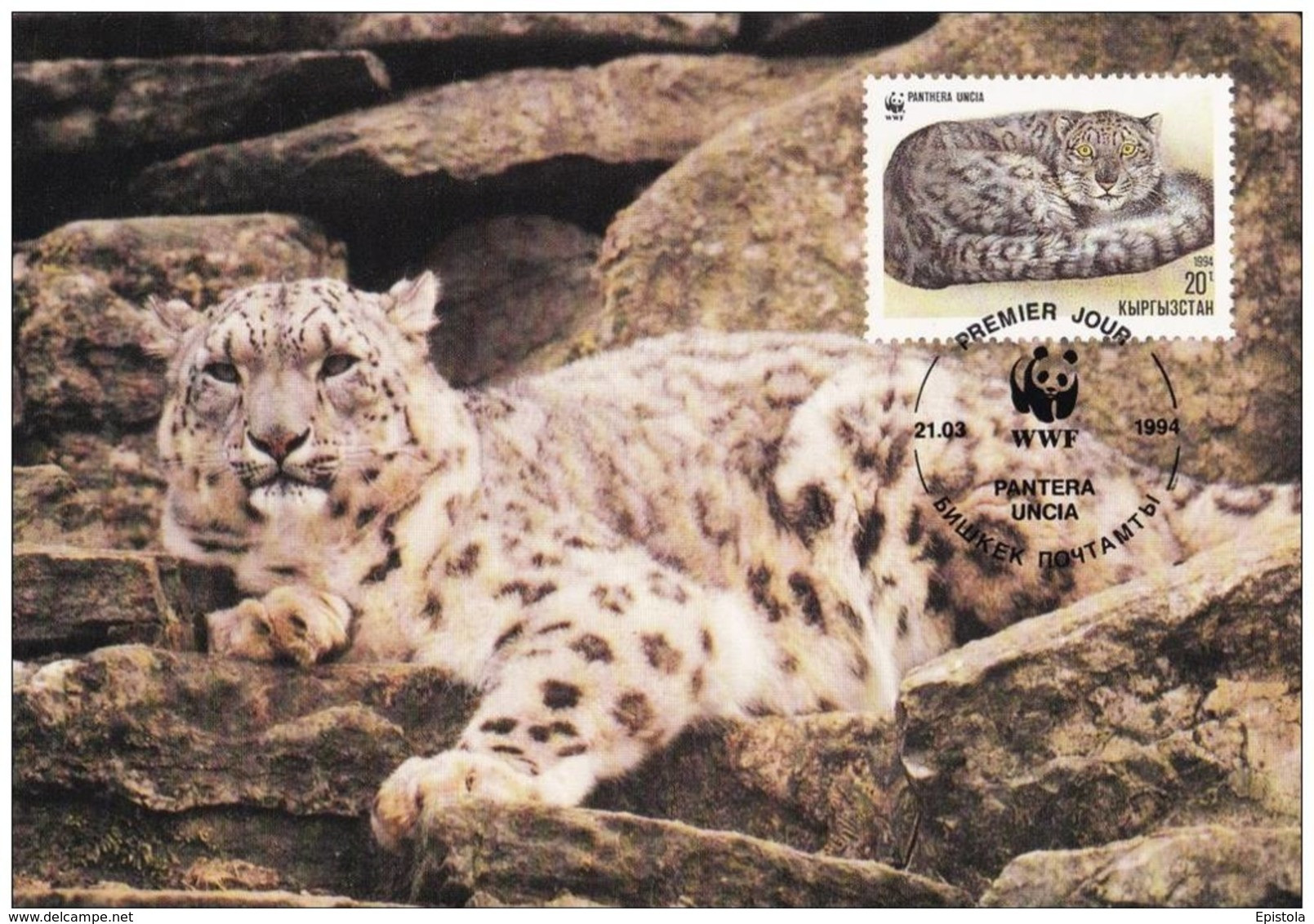 1994 - Kyrgyzstan Кыргызстан - Snow Leopard - Panthère Des Neiges WWF - Kirgisistan