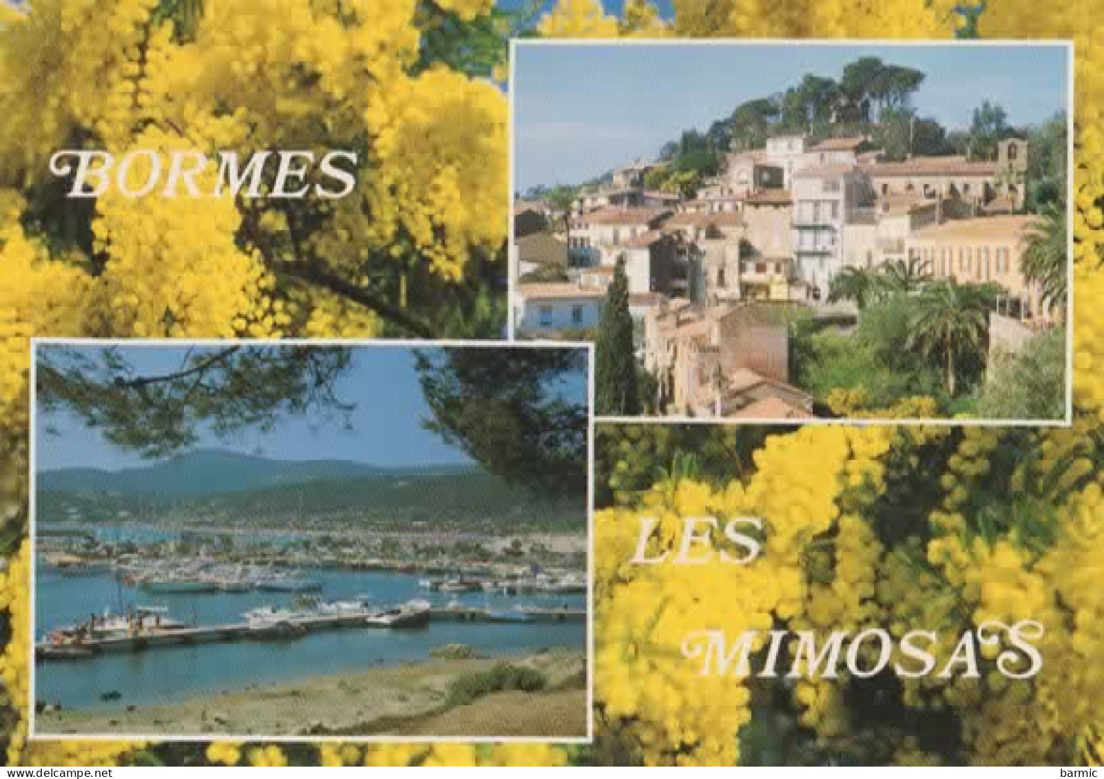 BORMES LES MIMOSAS, MULTIVUE COULEUR  REF 16470 - Bormes-les-Mimosas