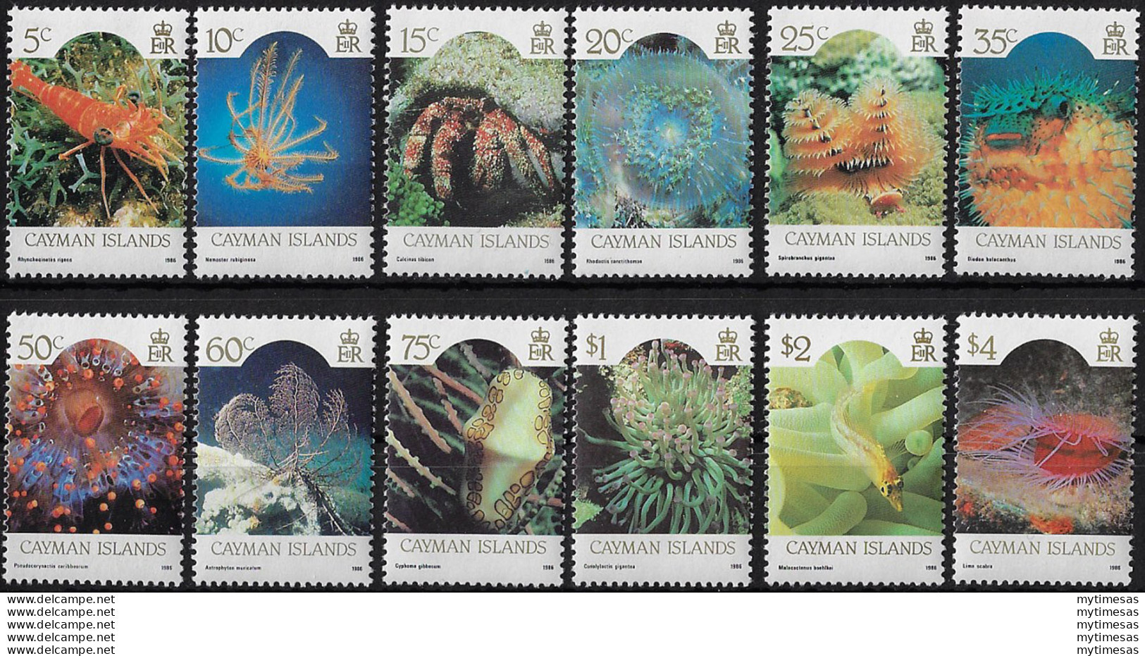 1986 Cayman Islands Reef Wildlife 12v. MNH SG N. 635/46 - Autres & Non Classés