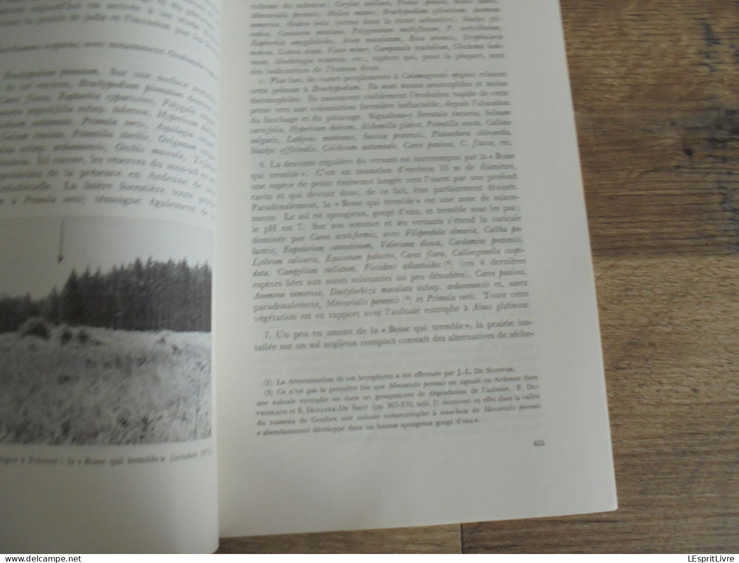 LES NATURALISTES BELGES N° 9 Année 1972 Régionalisme Bassin De La Houille Felenne Vencimont Struykbeek Végétation Flore - Belgio