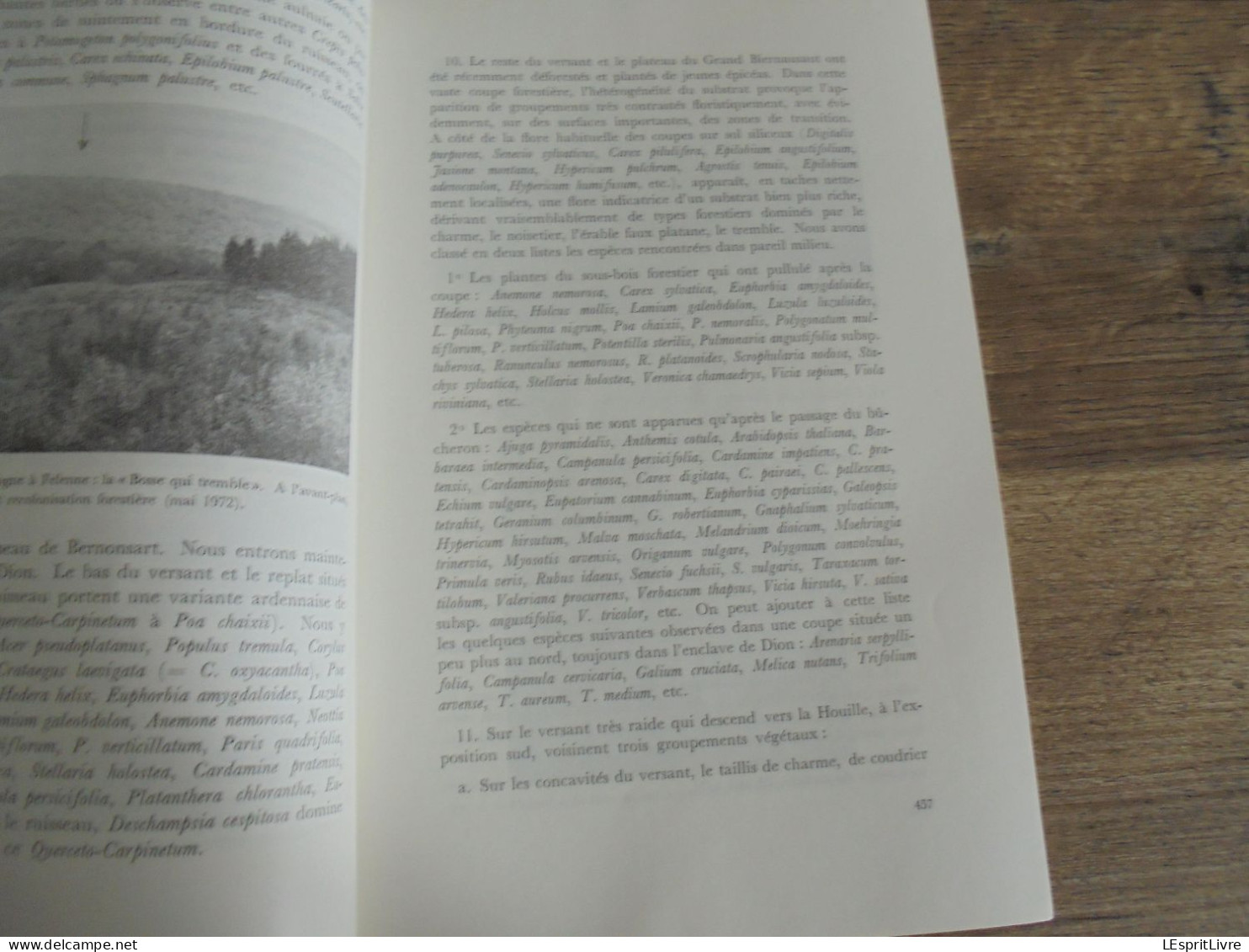 LES NATURALISTES BELGES N° 9 Année 1972 Régionalisme Bassin de la Houille Felenne Vencimont Struykbeek Végétation Flore