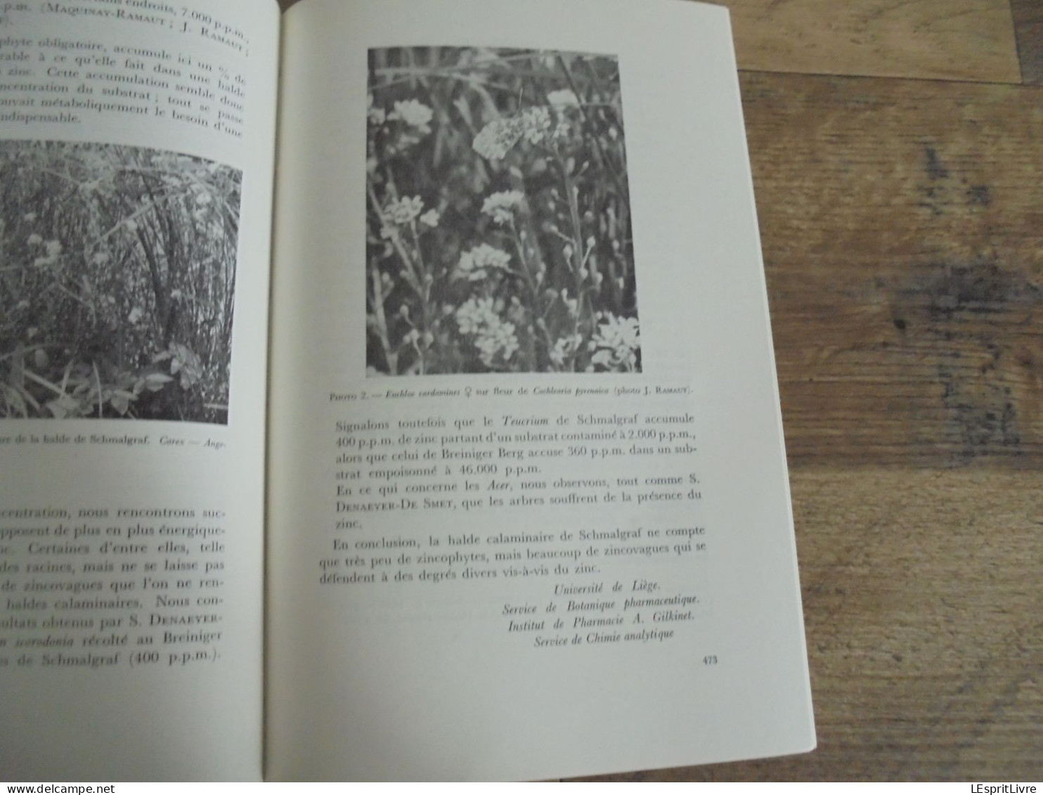 LES NATURALISTES BELGES N° 9 Année 1972 Régionalisme Bassin de la Houille Felenne Vencimont Struykbeek Végétation Flore