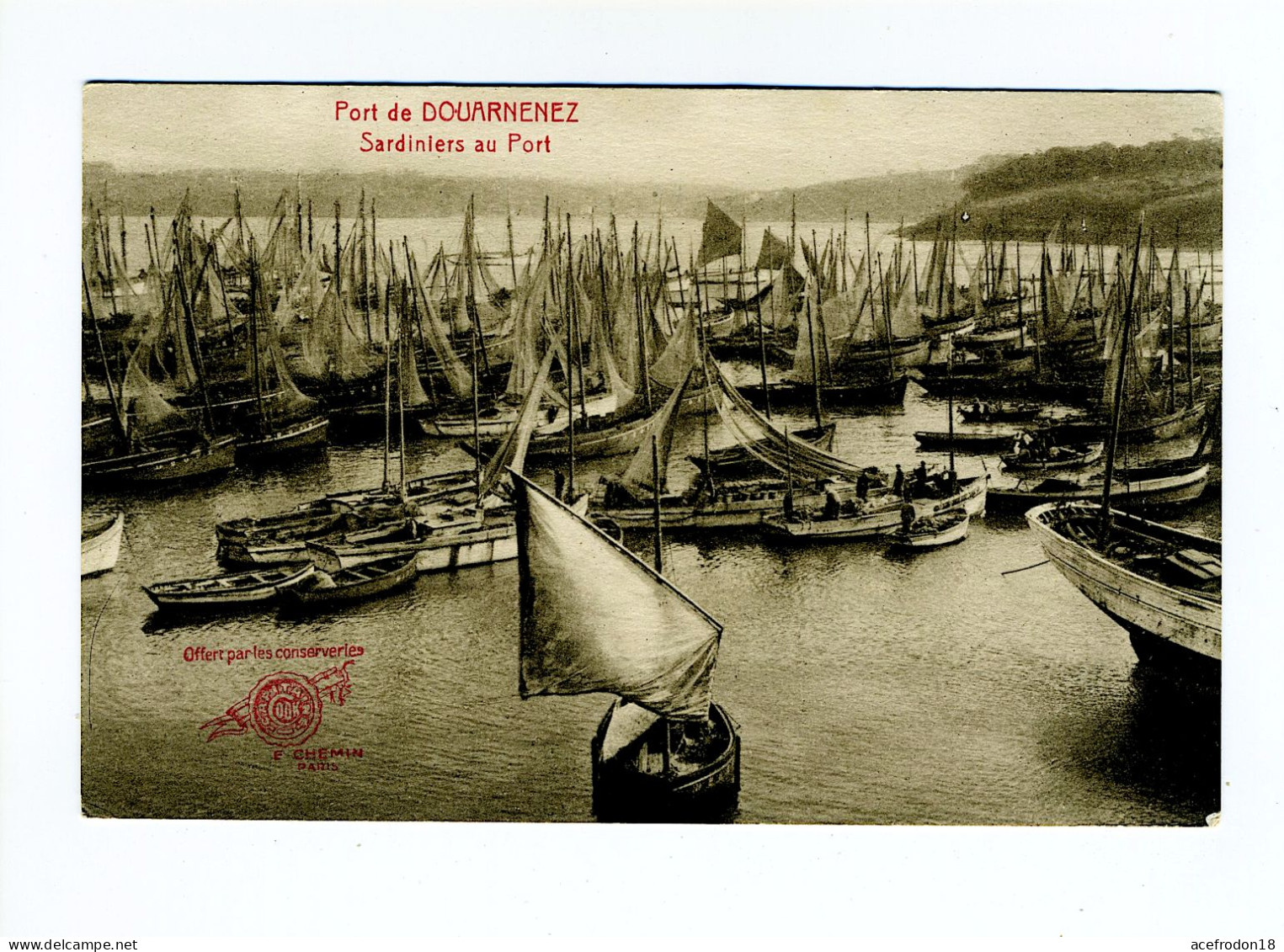 Port De DOUARNENEZ - Sardiniers Au Port - Douarnenez