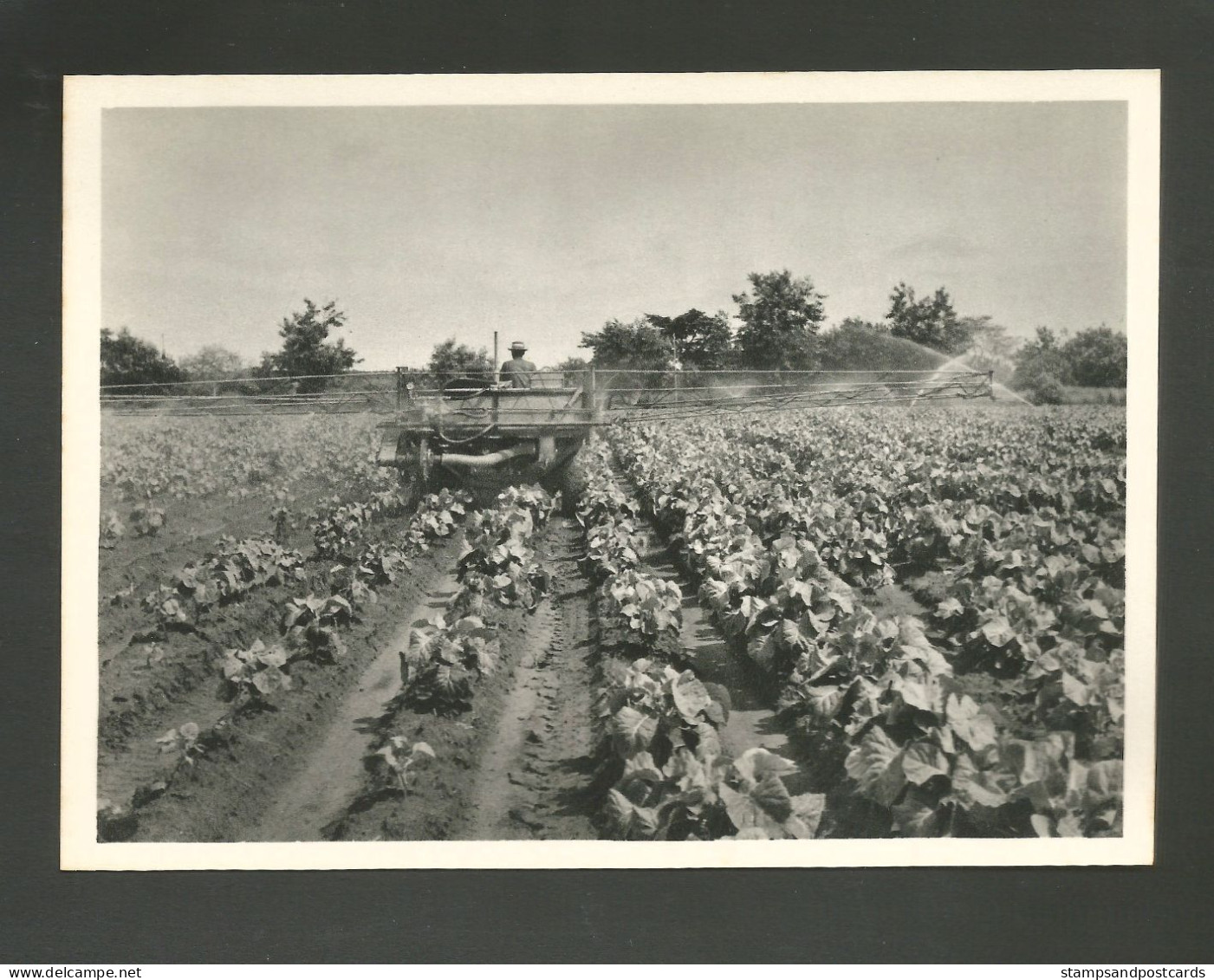 Angola Portugal Carte Diamang Compagnie Diamants Pulvérisateur Haute Performance Agriculture Sprayer 1966 Card - Angola