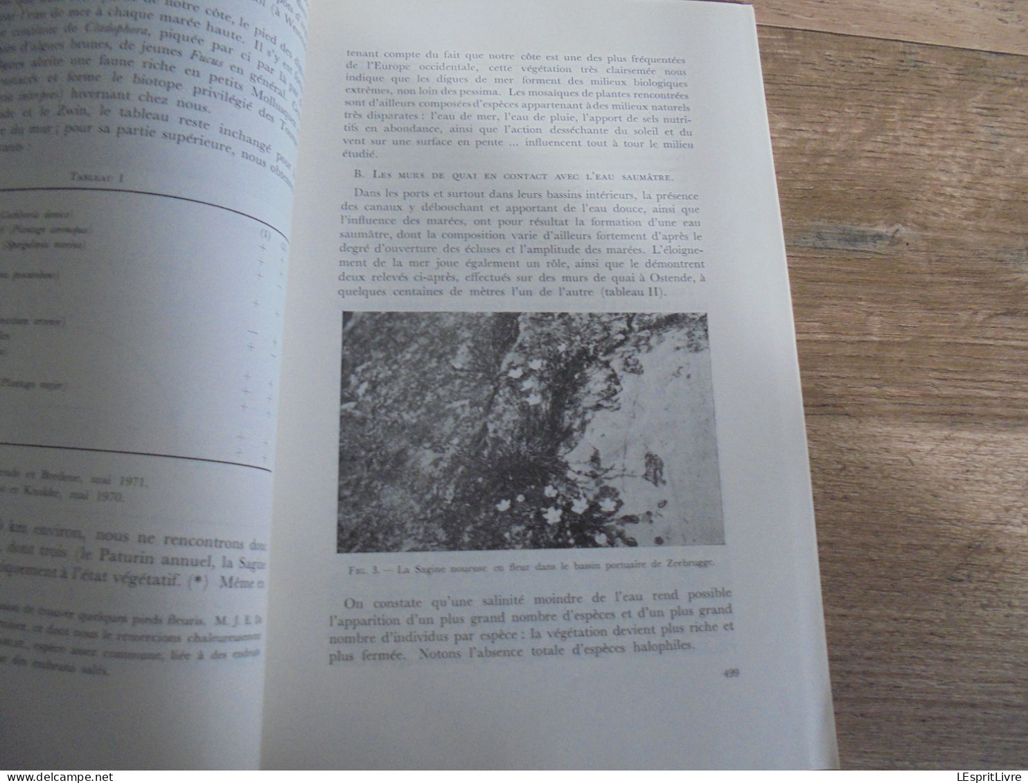 LES NATURALISTES BELGES N° 10 Année 1972 Régionalisme Crapaud Batracien Végétation Des Murs Flore Rhode Saint Genèse - Belgio