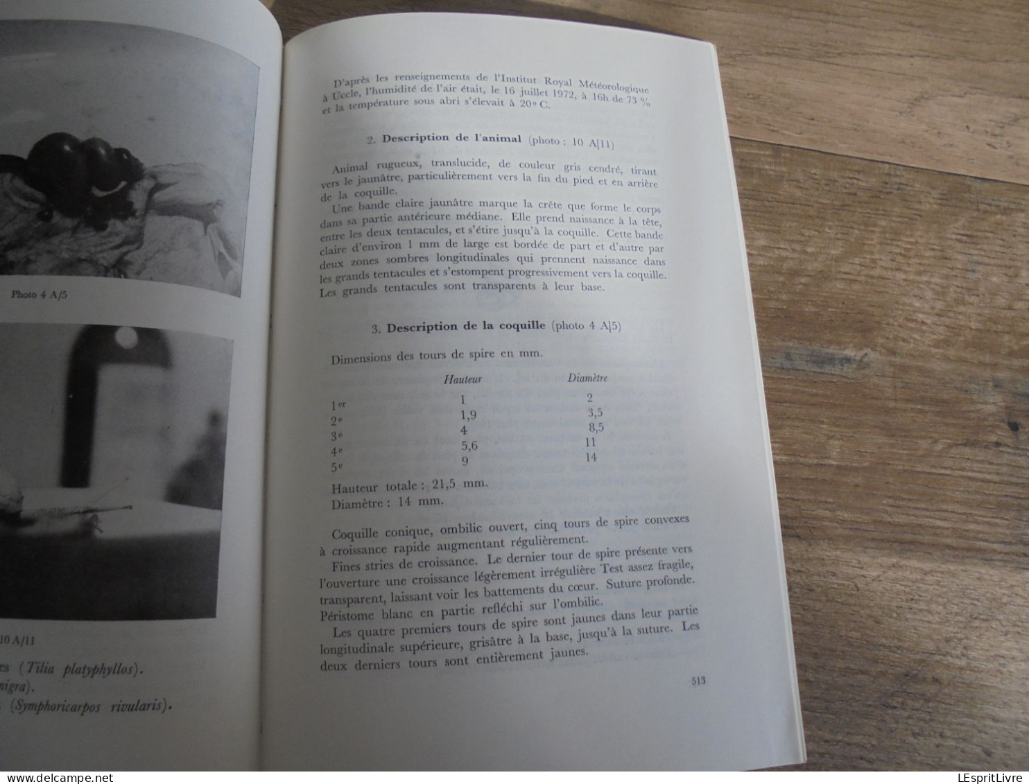 LES NATURALISTES BELGES N° 10 Année 1972 Régionalisme Crapaud Batracien Végétation des Murs Flore Rhode Saint Genèse