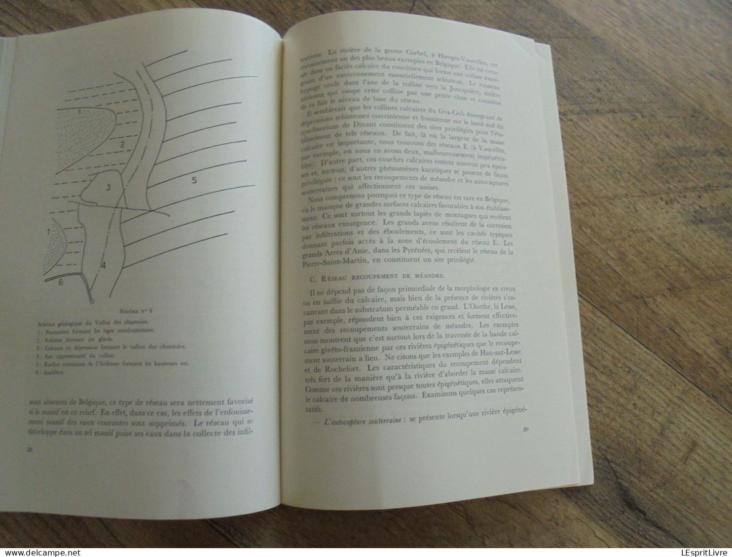 LES NATURALISTES BELGES N° 1 Année 1973 Régionalisme Marais pays bas Tourbes Géologie Végétation des Murs Flore