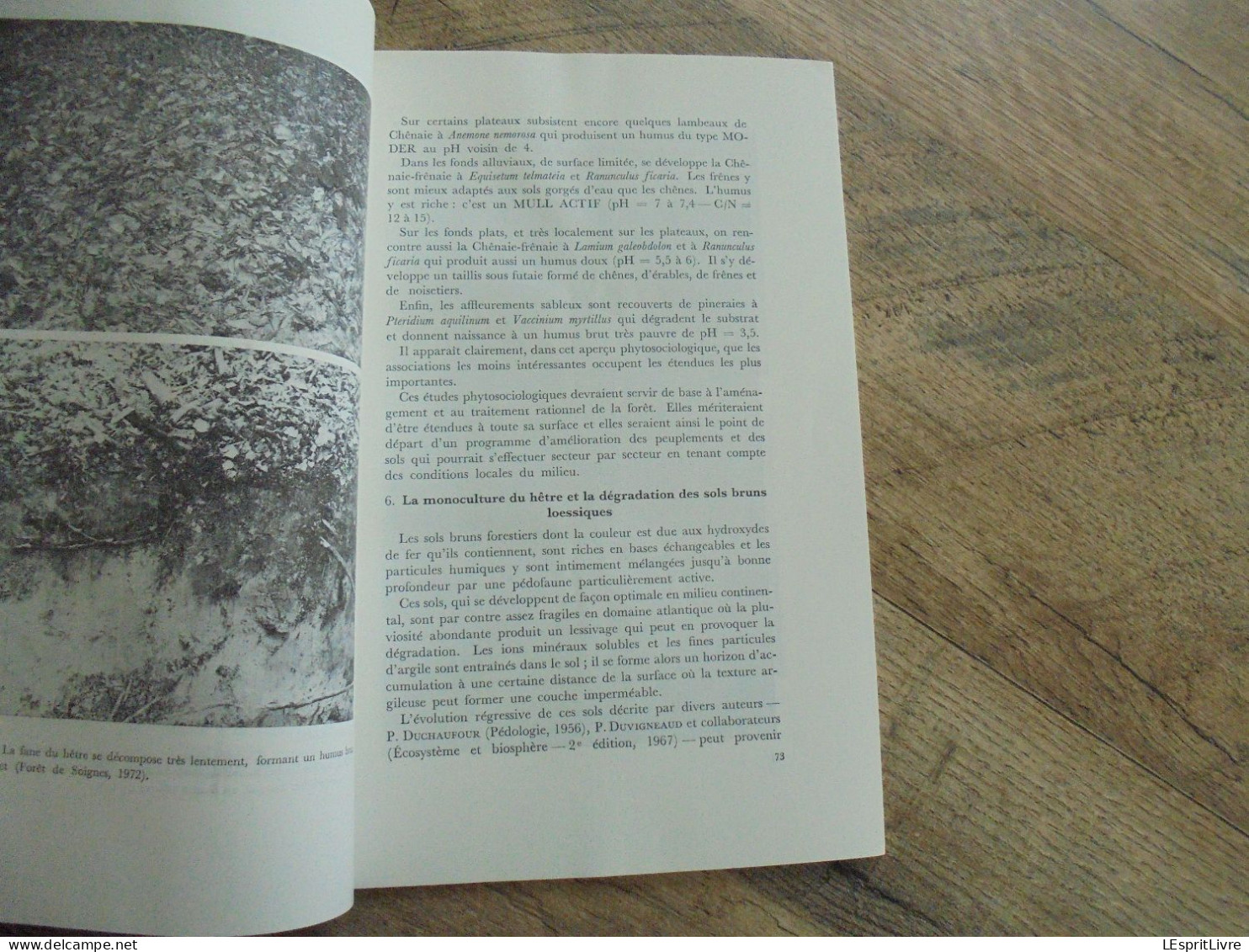 LES NATURALISTES BELGES N° 2 Année 1973 Régionalisme Soignes Hêtre Bois Hêtraie Forêt Guppy Truite Végétation Flore